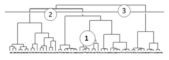 Dendograma de la
Dimensi&oacute;n Sociocultural.