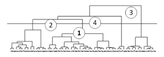 Dendograma de la dimensi&oacute;n econ&oacute;mica.