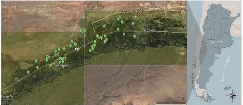Corredor Plottier-Senillosa