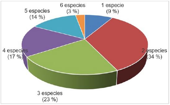 Cantidad de especies animales por productor