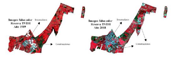 Im&aacute;genes en composici&oacute;n de falso color est&aacute;ndar