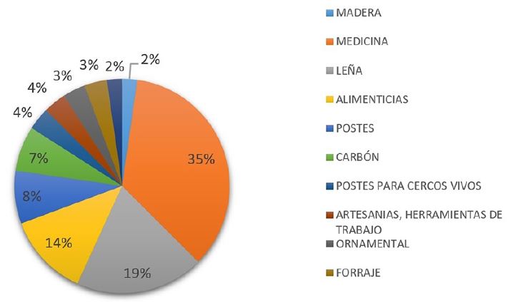 Categor&iacute;as de uso de las especies forestales
