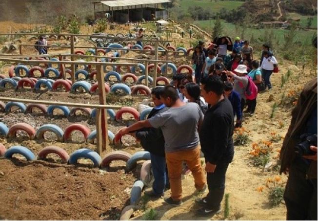 Abono final despu&eacute;s de seis meses de compostaje en camas de fermentaci&oacute;n