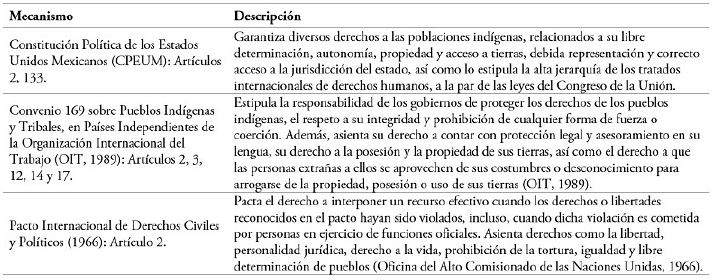 Mecanismos nacionales e internacionales para la protecci&oacute;n y la defensa de los derechos humanos de las comunidades ind&iacute;genas