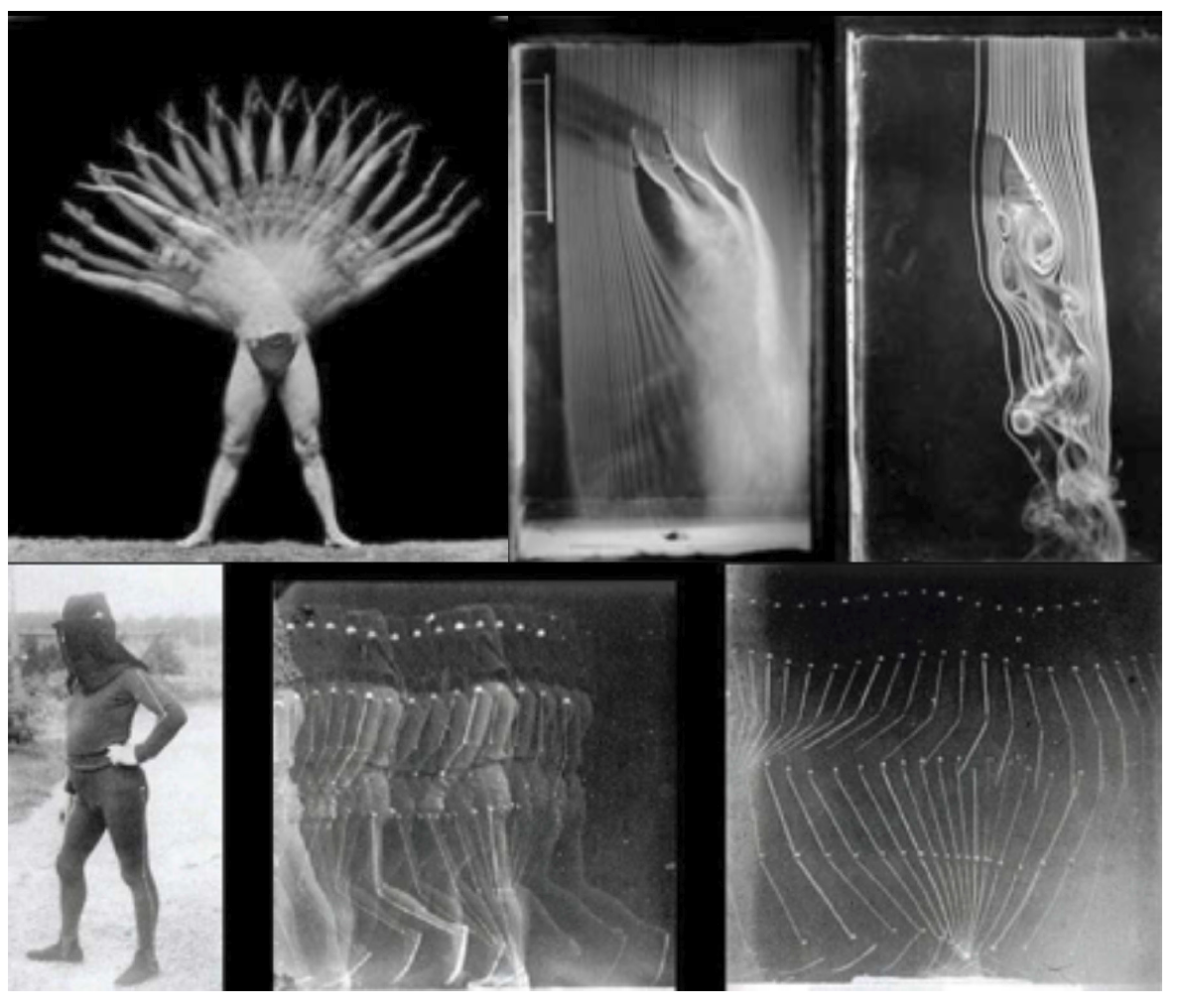 Cronofotografia e fato de captura de movimentos (1883) de &Eacute;tienne-Jules Marey.
