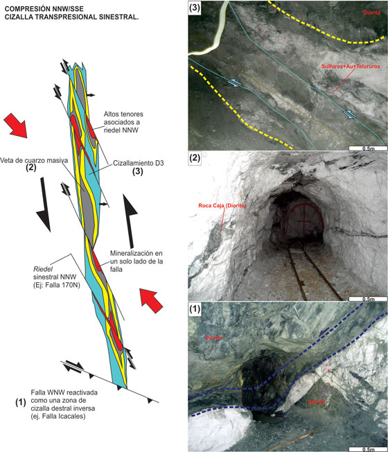  Esquema del modelo estructural en la
mina Los Mangos, mostrando los controles estructurales y los estilos de la
mineralización. Tomado y modificado de Starling (2015).