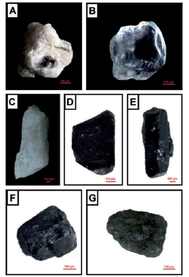 Fotograf&iacute;as de los componentes definidos para la secci&oacute;n levantada del cr&aacute;ter del VCM. A. L&iacute;tico volc&aacute;nico. B. Cuarzo. C. Plagioclasa; D. Biotita. E. Anf&iacute;bol. F. Piroxeno. G. L&iacute;tico metam&oacute;rfico.