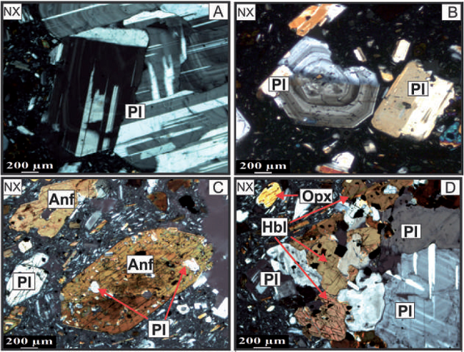 A. Maclas caracter&iacute;sticas de albita - periclina y textura glomeroporfir&iacute;tica. B. A la izquierda plagioclasa zonada y a la derecha plagioclasa con macla de carlsbald. C. Inclusiones de plagioclasa dentro de cristal de hornblenda. D. Textura cumu-loporfir&iacute;tica. E. Oxihornblenda con peque&ntilde;os bordes opacitizados. F. Cristal de clinopiroxeno con inclusiones de plagioclasa y &oacute;xidos. G. Ortopiroxeno. H. Clinopiroxeno.