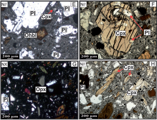 A. Maclas caracter&iacute;sticas de albita - periclina y textura glomeroporfir&iacute;tica. B. A la izquierda plagioclasa zonada y a la derecha plagioclasa con macla de carlsbald. C. Inclusiones de plagioclasa dentro de cristal de hornblenda. D. Textura cumu-loporfir&iacute;tica. E. Oxihornblenda con peque&ntilde;os bordes opacitizados. F. Cristal de clinopiroxeno con inclusiones de plagioclasa y &oacute;xidos. G. Ortopiroxeno. H. Clinopiroxeno.