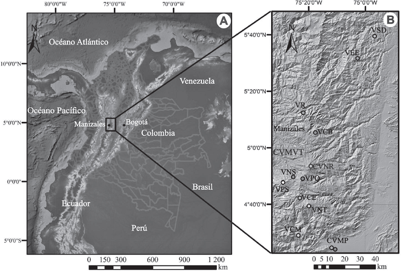 A. Localización de la Provincia Volcano Tectónica San Diego - Cerro Machín (PVTSC) en la Cordillera Central de Colombia (rectángulo negro). B. Ubicación de la ciudad de Manizales, el Campo Volcánico Monogenético Villamaría-Termales (CVMVT) y el Complejo Volcánico Nevado del Ruiz (CVNR) dentro de la PVTSC. CVMP: Campo Volcánico Monogenético Pijao, VCM: Volcán Cerro Machín, VNT: Volcán Nevado del Tolima, VCE: Volcán Cerro España, VPS: Volcán Paramillo de Santa Rosa, VPQ: Volcán Paramillo del Quindío VNS: Volcán Nevado del Santa Isabel, CVNR: Complejo Volcánico Nevado del Ruíz, VCB: Volcán Cerro Bravo, VR: Volcán Romeral, VEE: Volcán el Escondido, VSD: Volcán San Diego. C. Ubicación de los volcanes monogenéticos del CVMVT respecto a la ciudad de Manizales; como referencia el Nevado del Ruiz; los puntos blancos corresponden a los muestreos utilizados en los análisis químicos, y los negros representan los muestreos realizados para petrografía.