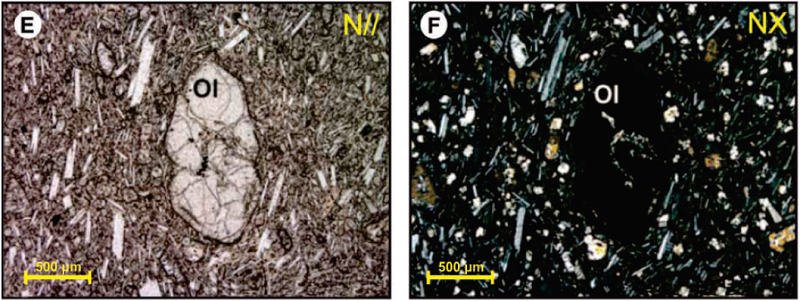 Fotomicrografía de las rocas volcánicas de los domos La Negra, Amazonas y La Esperanza. N//: nícoles paralelos; NX: nícoles cruzados. A. y B. Fenocristales de olivino y plagioclasa; también se observan microfenocristales de piroxeno y plagioclasa en la matriz. C. y D. Fenocristal de plagioclasa y microfenocristales de piroxeno y olivino; además se observa textura cumulo porfirítica de piroxeno y plagioclasa. E. y F. Microcristales de olivino, plagioclasa y piroxeno en matriz microcristalina y vítrea. Modificada de Martínez et al. (2014). Abreviaciones: (Pl): Plagioclasa, (Px): Piroxeno, (Ol): Olivino.