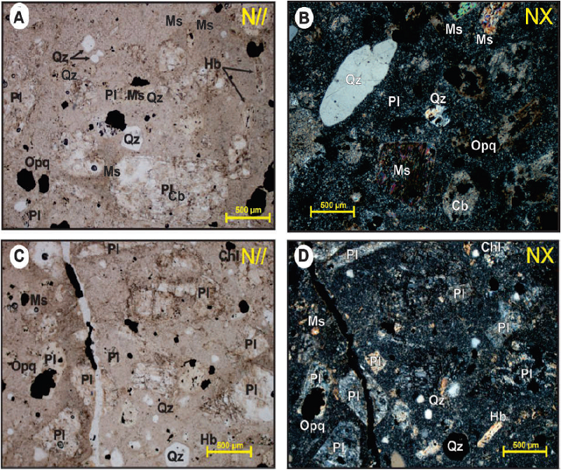 Fotomicrografía de las rocas de los domos Gallinazo y La Oliva. N//: nícoles paralelos; NX: nícoles cruzados. A. y B. Microfenocristales de cuarzo, moscovita y carbonatos embebidos en una matriz criptocristalina y microcristalina. La plagioclasa se encuentra sausuritizada y algunos cristales también se encuentran reemplazados por carbonatos. C. y D. Microfenocristales de plagioclasa, cuarzo y hornblenda, acompañados de sausurita y carbonatos como productos de alteración de plagioclasa, y clorita como alteración de la hornblenda. Abreviaciones: (Pl): Plagioclasa, (Hb): Hornblenda, (Qz): Cuarzo, (Ms): Moscovita, (Opq): Minerales opacos, (Cb): Carbonatos (Chl): Clorita.