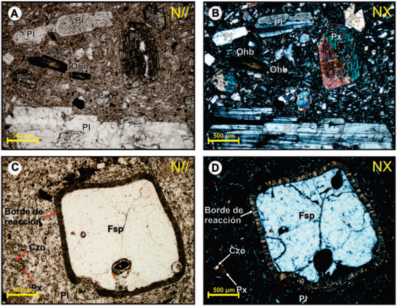 Fotomicrografía de las rocas de los domos Victoria, La Laguna y El Plato. N//: nícoles paralelos; NX: nícoles cruzados. A. y B. Fenocristales de plagioclasa y microfenocristales de piroxeno y oxihornblenda embebidos en matriz vítrea microcristalina. C. y D. Xenocristal de feldespato potásico con borde de reacción; también se observan en la matriz microcristales de clinozoisita y piroxeno. E. y F. Xenocristal de cuarzo con borde de reacción. Abreviaciones: (Pl): Plagioclasa, (Ohb): Oxihornblenda, (Px): Piroxeno, (Fsp): Feldespato potásico, (Qz): Cuarzo.