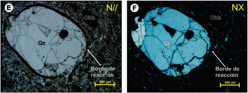 Fotomicrografía de las rocas de los domos Victoria, La Laguna y El Plato. N//: nícoles paralelos; NX: nícoles cruzados. A. y B. Fenocristales de plagioclasa y microfenocristales de piroxeno y oxihornblenda embebidos en matriz vítrea microcristalina. C. y D. Xenocristal de feldespato potásico con borde de reacción; también se observan en la matriz microcristales de clinozoisita y piroxeno. E. y F. Xenocristal de cuarzo con borde de reacción. Abreviaciones: (Pl): Plagioclasa, (Ohb): Oxihornblenda, (Px): Piroxeno, (Fsp): Feldespato potásico, (Qz): Cuarzo.