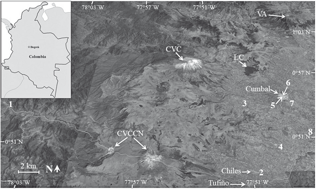 Mapa de Colombia con el &aacute;rea de estudio (rect&aacute;ngulo negro) e imagen del relieve (Google Earth) con la ubicaci&oacute;n de sitios mencionados en el texto y las IE visitadas en el municipio de Cumbal. 1=San Juan de Mayasquer; 2=Nuestro Se&ntilde;or del R&iacute;o; 3=Agroecol&oacute;gica Sagrado Coraz&oacute;n de Jes&uacute;s; 4= T&eacute;cnica Agropecuaria Ind&iacute;gena de Pan&aacute;n; 5= Divino Ni&ntilde;o Jes&uacute;s; 6= Jos&eacute; Antonio Llorente; 7= T&eacute;cnica Agropecuaria Ind&iacute;gena Kumbe; 8= Yo Reinar&eacute; de Boyera. L&iacute;nea amarilla: frontera colombo-ecuatoriana. VA=Volc&aacute;n Azufral; CVC=Complejo Volc&aacute;nico de Cumbal; LC=Laguna de Cumbal; CVCCN=Complejo Volc&aacute;nico Chiles-Cerro Negro.