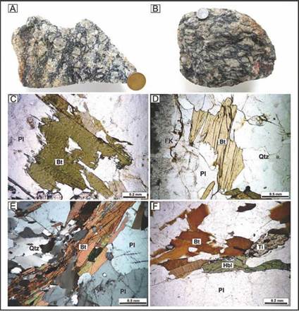 Aspectos macroscópicos y microscópicos de biotitas en neises con textura augen de la SMRU dependiendo del grado de afectación metamórfica de la roca. A. Aspecto macroscópico de las rocas del neis de la SMRU con textura ígnea preservada, sin mayor orientación mineral y estructura bandeada. B. Aspecto macroscópico de roca con estructura neísica con orientación mineral preferencial de augen de feldespato alcalino y cuarzo en matriz cuarzo-feldespática, biotita y hornblenda principalmente. C-D. Biotita hipidomórfica, laminar-placoso, de carácter ígneo preservado y sin mayor orientación en contacto con plagioclasa y cuarzo. E-F. Biotita subidomórfica en la forma de láminas orientadas en contacto con hornblenda y titanita marcando la foliación de la roca y la estructura neísica. Tamaño de la moneda en fotografía A: 2,0 cm de diámetro, en B: 1,5 cm.