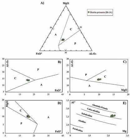 Diagramas discriminatorios para clasificación de series magmáticas a partir de la química de las biotitas, para las rocas de composición granítica de la SMRU. A-D. Diagramas de relación FeO - MgO - Al2O3, Al2O3vs FeOT, Al2O3vs MgO y MgO vs FeOT de Abdel-Rahman (1994). E. Diagrama AlT-Mg para para clasificación de series magmáticas a partir de la química de las biotitas de Nachit et al. (1985). Simbología en diagramas: A= Serie alcalina asociada a granitos alcalinos anorogénicos; P= Granitos orogénicos peraluminosos y tipo-S; C=Serie Calco-alcalina asociada a granitos orogénicos tipo-I.