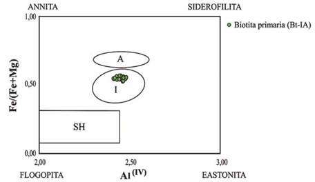 Diagrama Fe2+/ (Mg + Fe2+) vs AlIV adaptado por Jiang et al. (2002), para biotitas primarias de la SMRU, distinguiendo entre biotitas formadas a partir de magmas tipo-I, tipo-A y shonshoniticos. Simbología en diagrama: A= Granitos tipo-A; I= Granitos tipo-I; SH= plutones shonshoniticos.