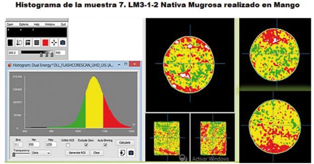 Histograma de la muestra 7 con el software Mango.