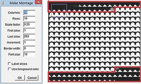 Visualización de las imágenes seleccionadas en rojo y que deben ser descartadas y que por medio del software de visualización ImageJ son fáciles de apreciar en una serie de todos los cortes realizados.