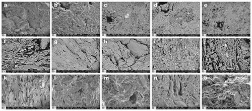SEM photomicrographs of pottery samples of the (A)-(C) red, (D)-(F) gray, (G)-(I) black, (J)-(L) brown and (M)-(O) reddish brown groups.