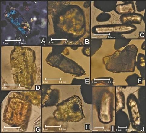 Aspecto de algunos minerales pesados del río Magdalena y sus ríos tributarios. A. Prisma de turmalina del río Magdalena 01. B. Cristal de olivino del río Cauca 02. C. Circones prismáticos del río Cesar. D. Cristal de titanita del río Magdalena 05. E. Cristal de anfíbol del río Sogamoso. F. Cristal de piroxeno del río Neiva. G. Cristal de piroxeno del río Paez. H. Grano de epidota del río Nús. I. Cristal de circón subredondeado del río Sumapaz. J. Prisma de circón subangular del río Sumapaz.Microfotografía A tomada com nicols cruzados; microfotografías B, C, D, E, F, G, H, I y J tomadas com nicols paralelos.
