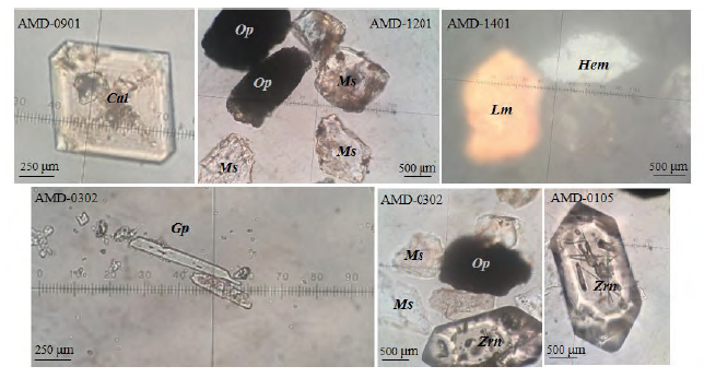 Ultrastable (AMD-0302, AMD-0105), metastable (AMD-0901, AMD-1201, AMD-0302) and opaque minerals (AMD- 1401). Cal= Calcite, Gp= Gypsum, Hem= Hematite, Lm= Limonite, Ms= Muscovite, Op= Opaque and Zrn= Zircon.