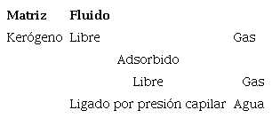 Modelo petrof&iacute;sico 1 (traducido y adaptado de Glorioso y Rattia, 2012).