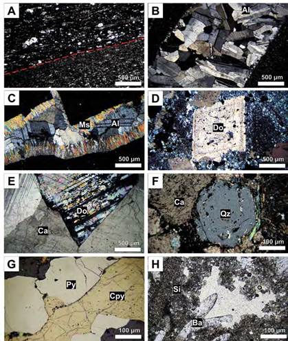 Microfotografías. A. Lodolita negra carbonosa del río Itoco. La línea roja corresponde a un contacto entre dos niveles con diferente tamaño de grano; PPL. B. Lodolita negra cortada por una vetilla de albita; XPL. C. Arcillolita carbonosa con una vetilla de moscovita y albita. La vetilla inicialmente contenía moscovita y fue reabierta recibiendo un relleno de albita; XPL. D. Cristales de dolomita romboédrica en roca fuertemente albitizada; XPL. E. Vetilla con dos carbonatos: calcita y dolomita; XPL. F. Cristal de cuarzo, rodeado por calcita, con forma hexagonal e inclusiones de moscovita. La muestra hace parte de la albitita del río Itoco; XPL. G. Vetilla con pirita y calcopirita. Nótese que la calcopirita contiene delgadas líneas azules que corresponden a covelina supergénica; PPR. H. Oquedad parcialmente rellena por cristales euhedrales de barita y siderita; PPL. PPL: luz polarizada plana; XPL: luz polarizada con nicoles cruzados; PPR: luz reflejada plana; Al: albita, Ba: barita; Ca: calcita, Cpy: calcopirita; Do: dolomita; Ms: moscovita; Py: pirita; Qz: cuarzo; Si: siderita.