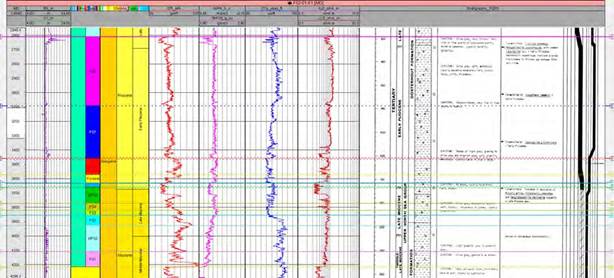Information available for one of the correlation wells.