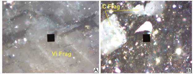 Organic petrography analysis Conejo Formation. A. Vitrinite fragment (Vi Frag) from MEG-016 sample. B. Carbonate fragment (C Frag) from MEG-017.