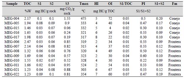 TOC and Rock Eval pyrolysis results for Alto de los Caballeros section outcrop samples.