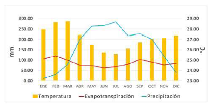 Distribución de la precipitación media a lo largo del año hidrológico en la estación climatológica Paz de Ariporo (36015010).