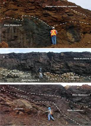 A. Orange iron laminated claystone (oil-C) overlaying black mudstone facies. B. Black mudstone facies reaching locally a 20 m thickness with claystone and serpentine boulder embedded. C. Black mudstone facies overlying listvenites.