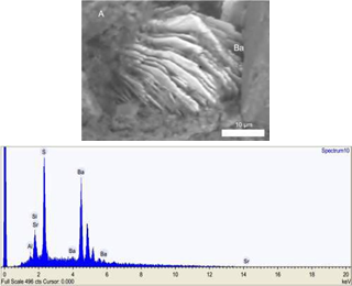 A. Well-formed rhombohedral barite crystals in the fine fraction of the black mudstone facies (SEM image of sample cm- 19 rock ship). B. Spectrum of principal elements forming the barite crystal.