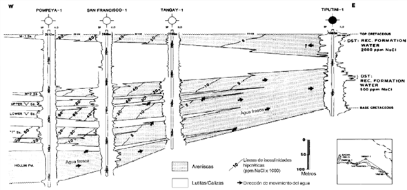 Secci&oacute;n estratigr&aacute;fica cret&aacute;cica en la parte nororiental de la cuenca Oriente. Las flechas representan el movimiento del agua hacia el este y hacia arriba en areniscas m&aacute;s j&oacute;venes. Tomado de Smith (1989) .