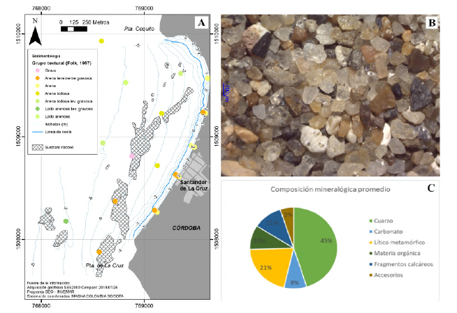 A. Mapa de clasificación de muestras de sedimentos en el fondo somero y en playas según su grupo textural. B. Contenido mineral en la fracción de 500 Lim de la muestra SDLC_10. C. Composición mineralógica promedio predominante en los sedimentos del área de estudio.