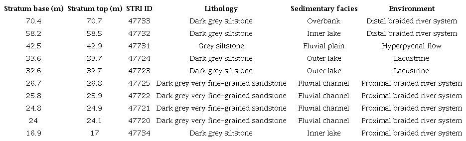 Samples (top to base) collected from the Genoveva mine, lithology, sedimentary facies and environment.