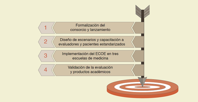 Fases del estudio para ECOE en tres escuelas de medicina