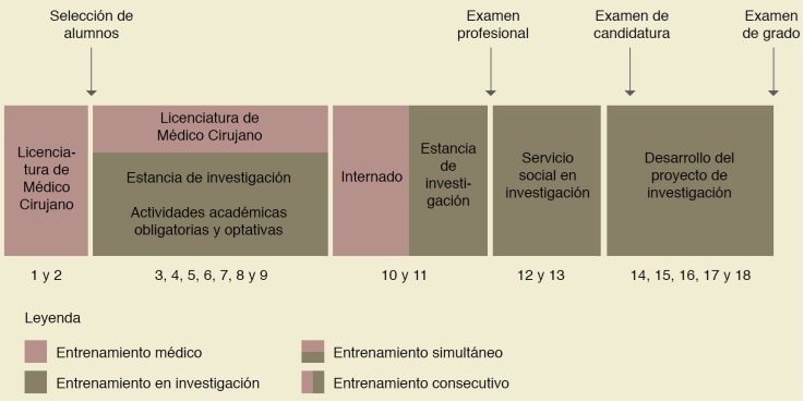 Plan de estudios simplificado del PECEM