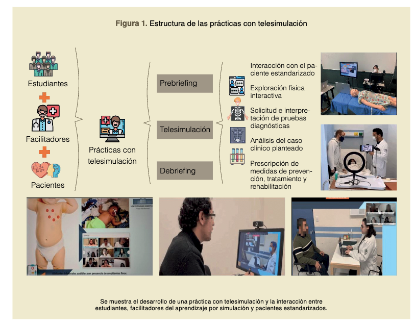 Estructura de las prácticas con telesimulación