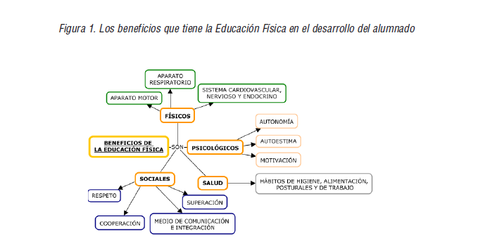 Los beneficios que tiene la Educación Física en el desarrollo del alumnado