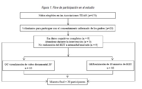  Flow de participaci&oacute;n en el estudio