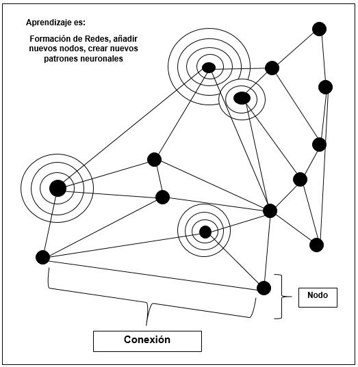 El aprendizaje como formaci�n de redes