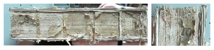 Biblioteca Central &ldquo;Prof. Augusto Ra�l Cortazar&rdquo; (FFyL-UBA), TES 1-3-17.