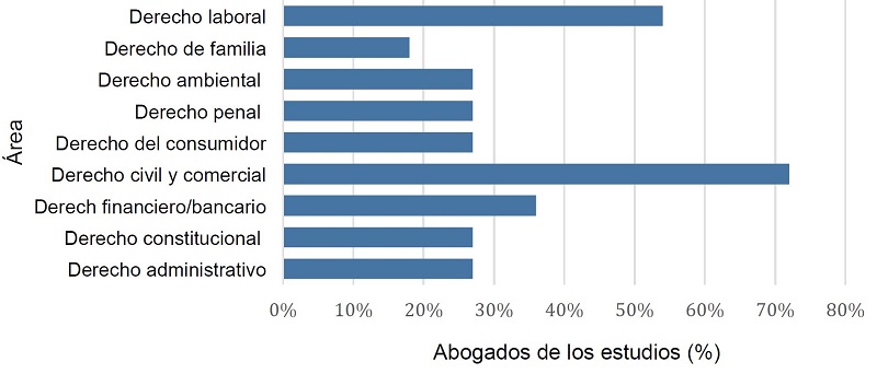 &iquest;Cu&aacute;l es el &aacute;rea de experticia del estudio?