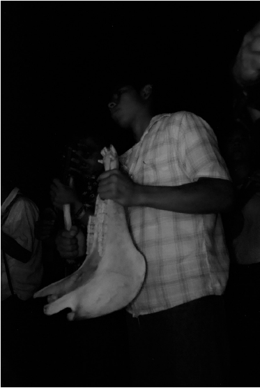 Quijadero en
fandango a la Virgen de Guadalupe , el Hato de Santa Isabel,
Santiago Tuxtla, Veracruz