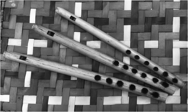 Pitos
o flautas de carrizo