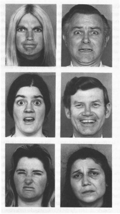 Algunas de las fotografías empleadas por Ekman en sus investigaciones
interculturales [Evans 2002: 20].