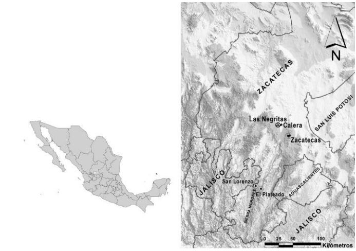 Localización
del área involucrada en el traslado de los cazadores, de acuerdo con la
declaración de “El Tongas”. (Fuente: INEGI, http://www.inegi.org.mx/.
Consultado el 23 de enero de 2013).

 